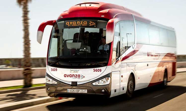 Avanza Bus 